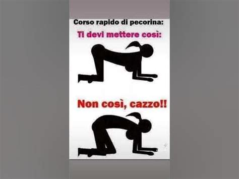 scopata a pecora|Guida pratica: Come fare la pecorina con passione e sicurezza.